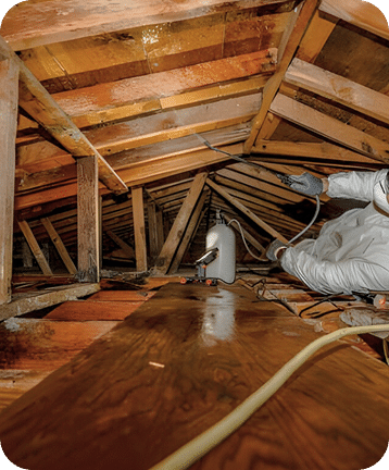 Mold Damage Remediation in Troy, MI