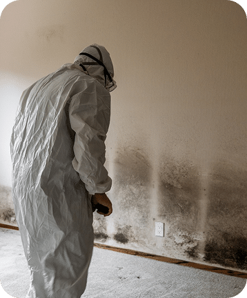 Emergency Mold Remediation in Troy, MI