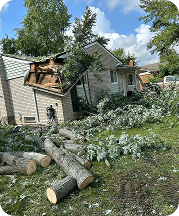 Tree fallen into the roof of a residential home