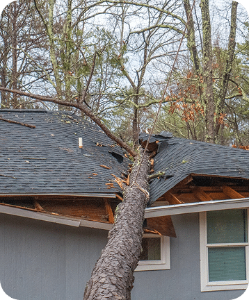 Tree fallen into a roof from storm damage