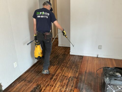 Antimicrobial Treatment on Water-Damaged Hardwood - DriForce Property Restoration, Auburn Hills, MI