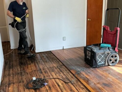 Antimicrobial Treatment on Water-Damaged Hardwood - DriForce Property Restoration, Farmington Hills, MI