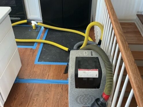 InjectDry System — Hardwood Floor Water Extraction - DriForce Property Restoration, Bloomfield Hills, MI