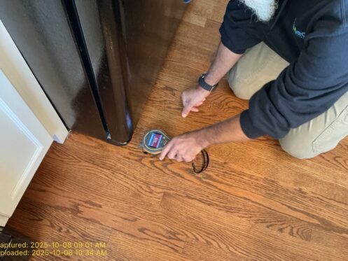 Pinpoint Moisture Mapping — Oak Hardwood Floor - DriForce Property Restoration, Warren, MI