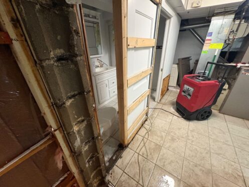 Water Mitigation - Stripped Bath and Hallway - DriForce Property Restoration, Birmingham, MI