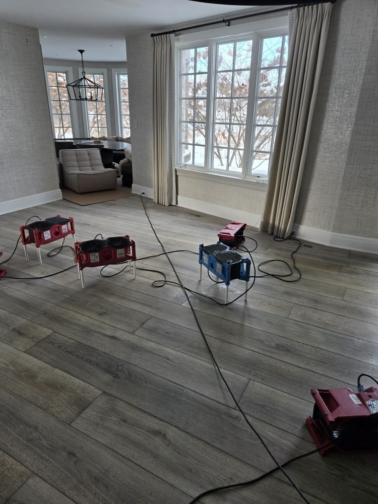 Residential Water Loss — Structural Drying Array - DriForce Property Restoration, Clawson, MI