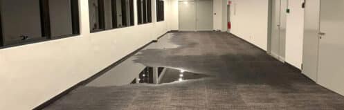 Flooded commercial hallway carpet in a Metro Detroit building before water extraction